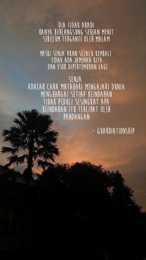 zonk arti ny apa
