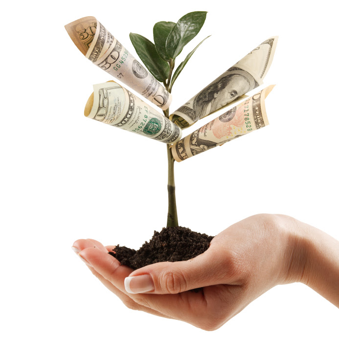 Would you like to have a money tree? - Kim Ravida