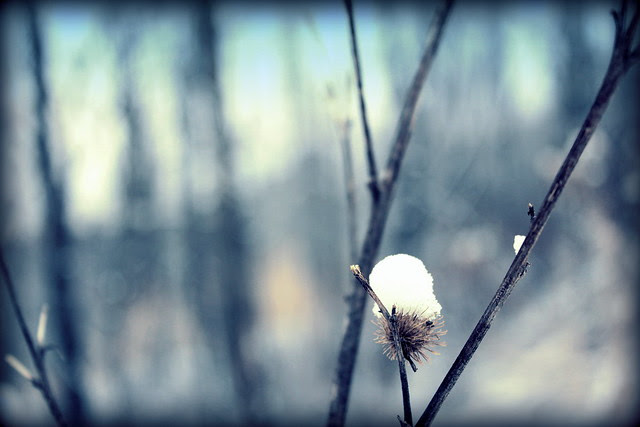 IMGdfgh_3855