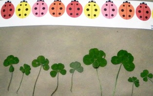 五つ葉は 不幸なの 絵手紙ギャラリー あなたに夢便り 楽天ブログ