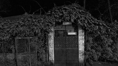overgrown