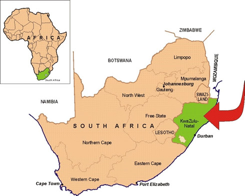 Whap Wiki Licensed For Non Commercial Use Only Zulu Kingdom