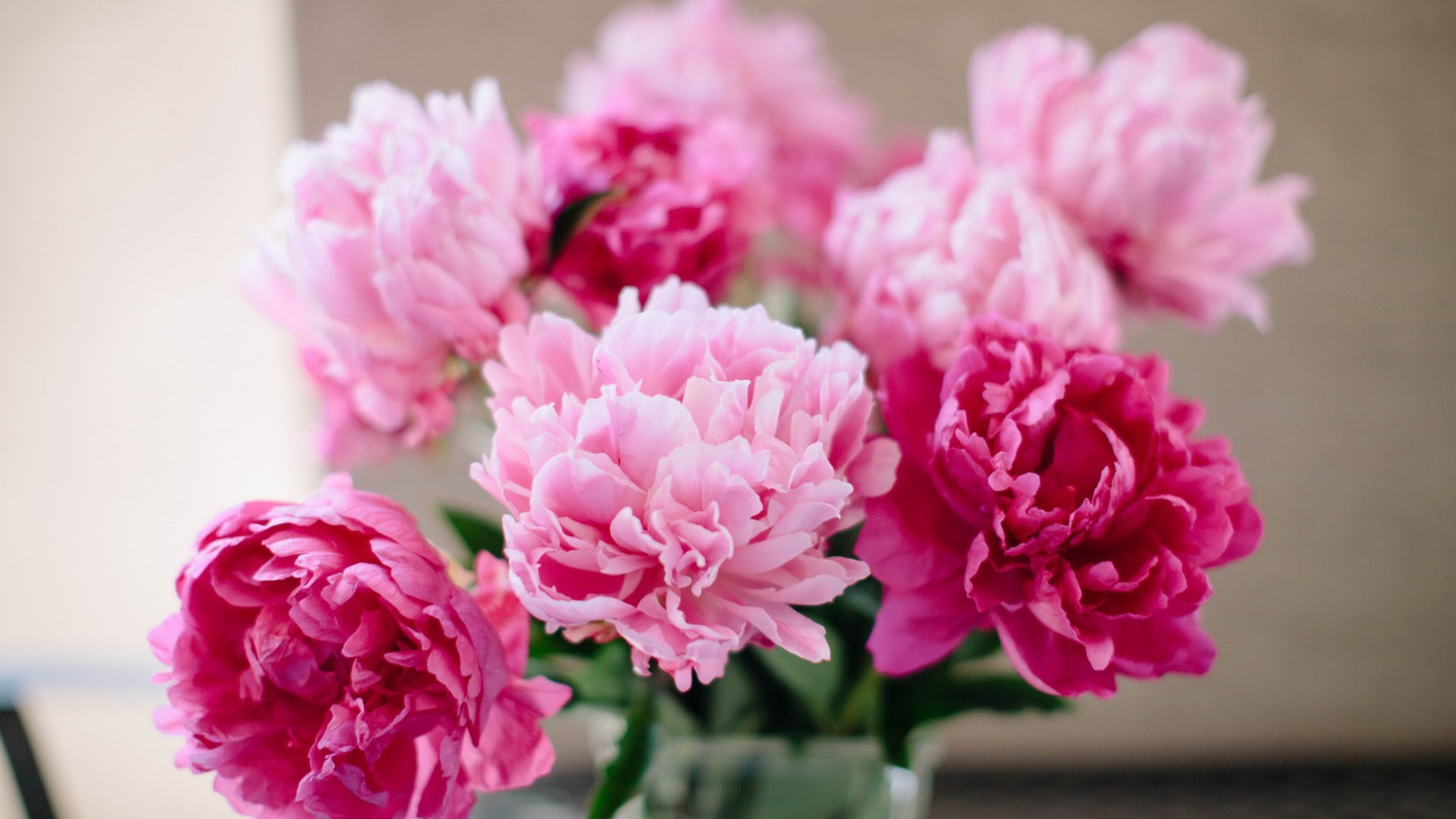Desktop Wallpaper Peonies (57+ images)