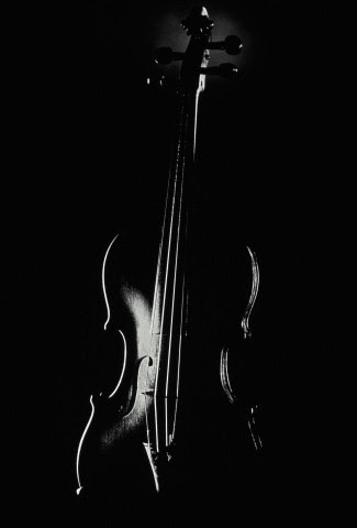 violino