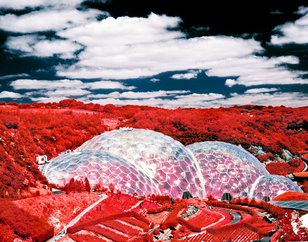 Infrared Photography taken with EIR False Colour Infrared Film