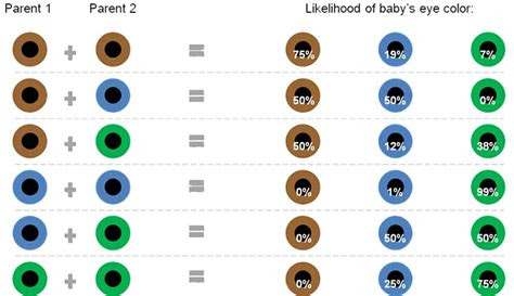  all about the human eye color chart