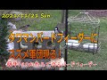 野鳥 餌台 カラス対策 705611-野鳥 餌台 カラス対策