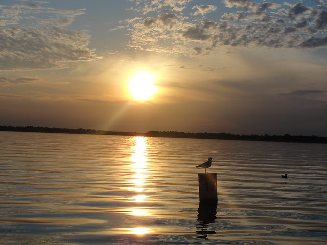 Mazury