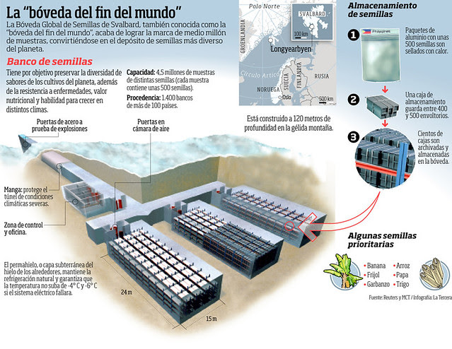 seednfo-banco-de-semillas