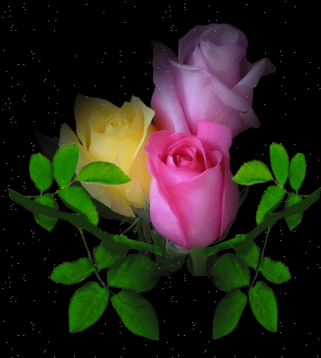 Roses