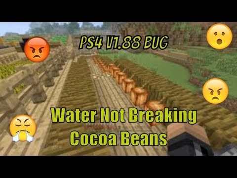 Minecraft PS4 v1.88 Bug - Water Not Breaking Cocoa Beans