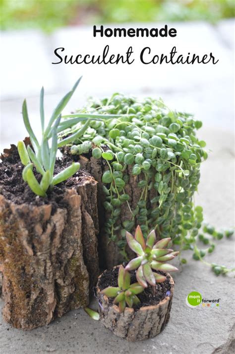 homemade succulent container mom