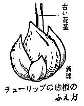 四季折々6