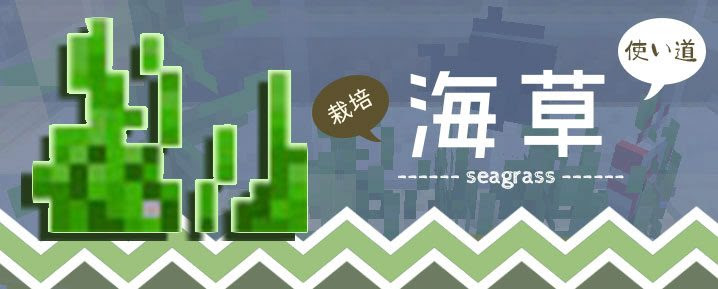 マインクラフト 海草の楽しい使い道と入手方法 栽培について マイクラモール