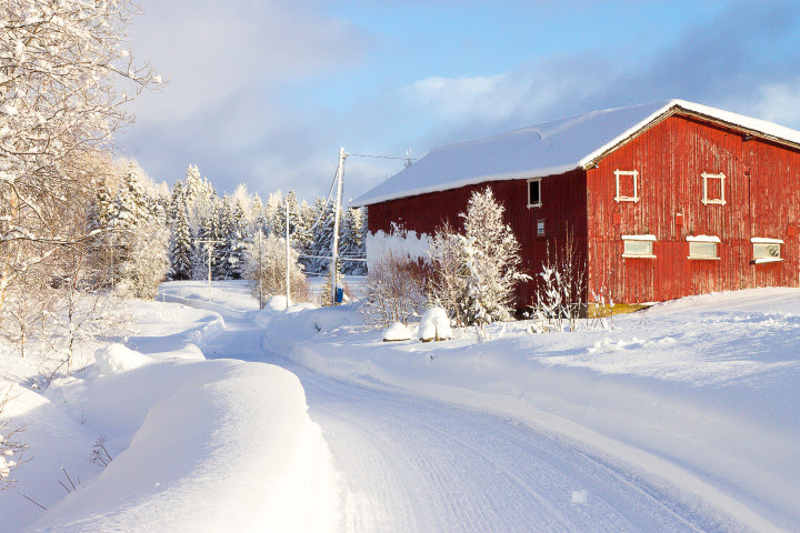 9 Reasons to Visit Norway in the Winter - Heart My Backpack
