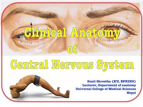 Clinical anatomy of central nervous system (Anatomy Shortcut channel)