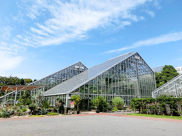 独立行政法人 国立科学博物館 筑波実験植物園 筑波研究学園都市