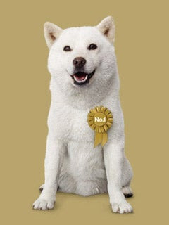 サイト更新 Hiphopにti 壁紙にお父さん追加 まちうけがぁ 待受ｻｲﾄ管理人のブログ