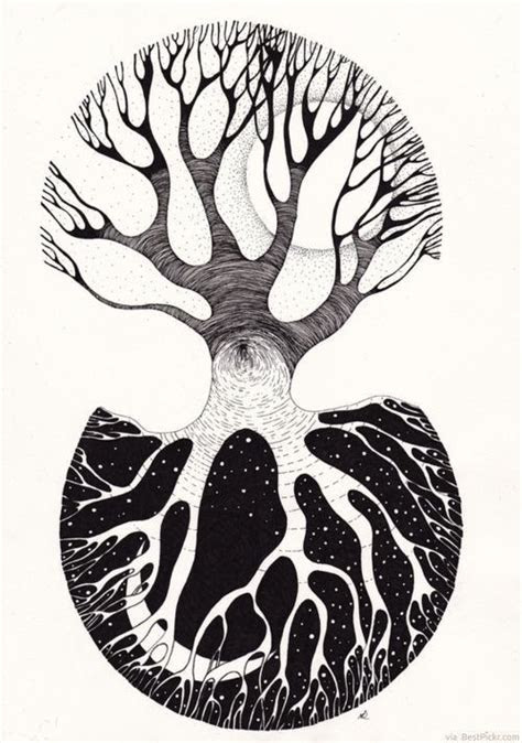 day night oak tree yin  drawing httpbestpickrcom
