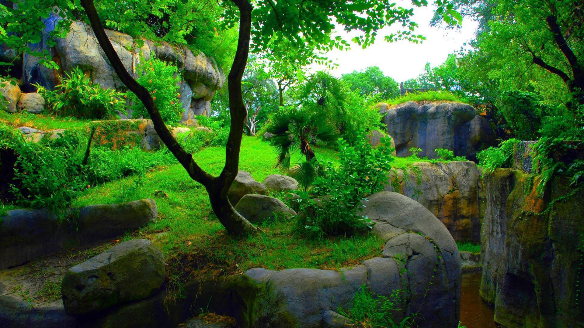 Full HD 3D Wallpapers 1920x1080 Wallpaper Cave Full HD 3D Wallpapers 1920x1080 Wallpaper Cave