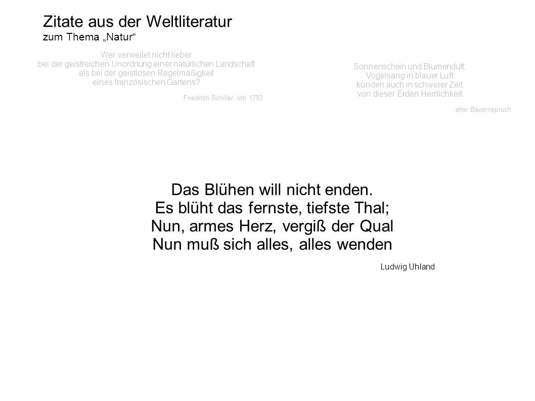 Zitate aus der Weltliteratur