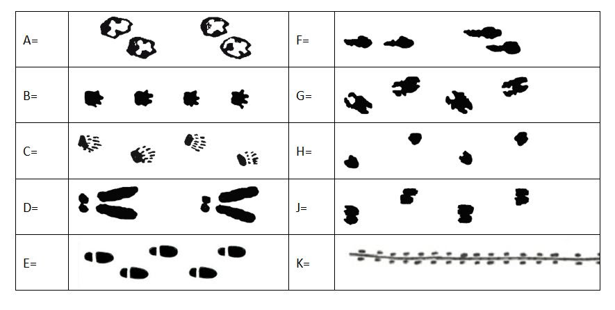 Gc3z5ce Waldblicker Unknown Cache In Berlin Germany Created By Twonky Kurwenal