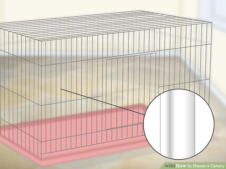House a Canary Step 2.jpg