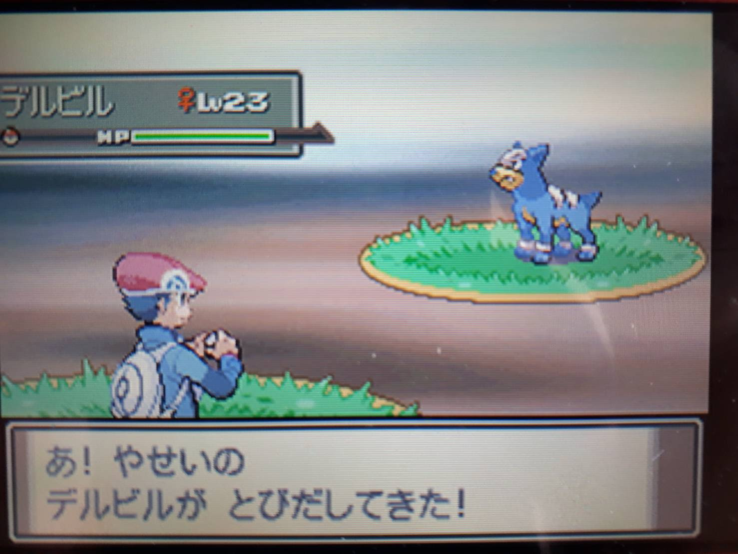 ポケトレ実践 プラチナ なんとも言えない色違いは素敵 塩 わい的ポケ色廃人