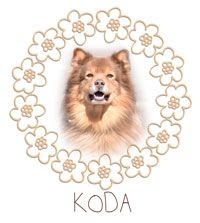  photo koda_VALMIS_zpsie8kyy63.jpg