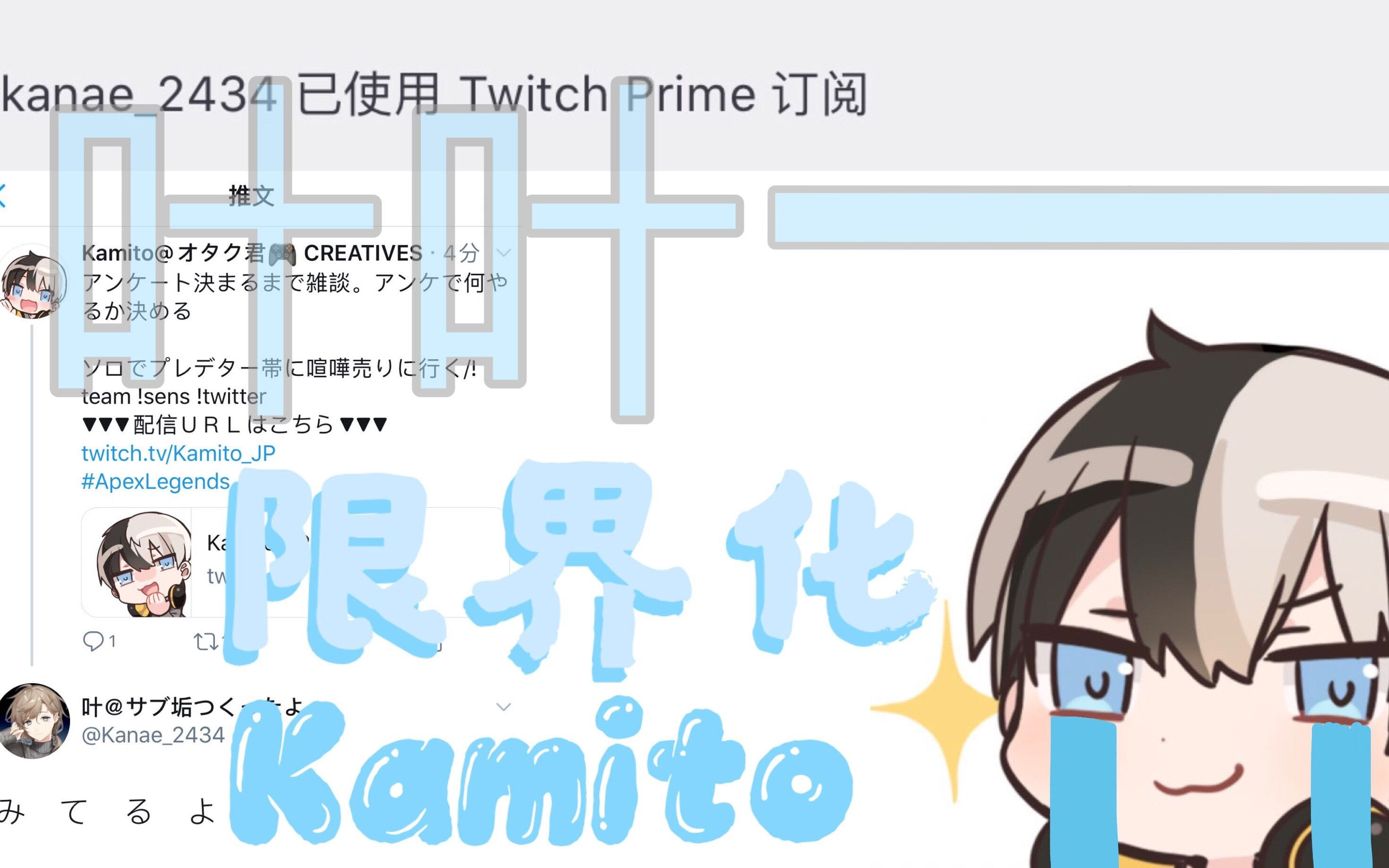 熟肉 Kamito 叶 Kamito限 界 化 叶叶啊啊啊 哔哩哔哩 Bilibili