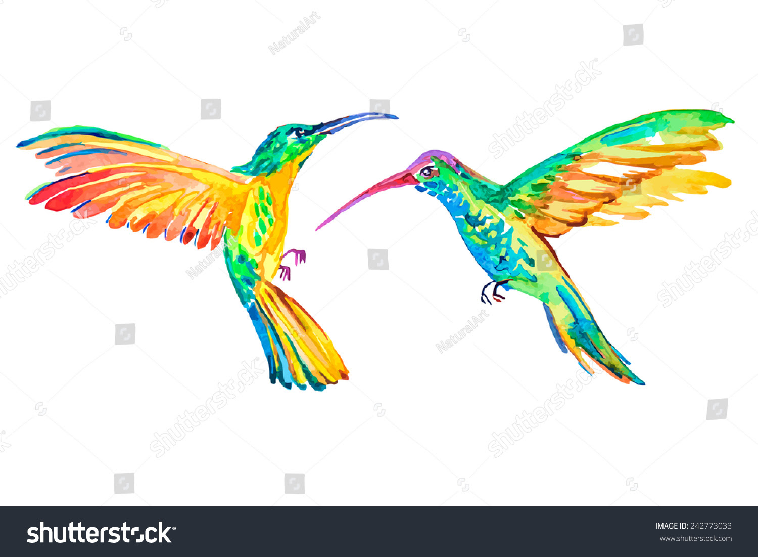 Download Watercolor Hummingbirds. Vector. Isolated. Tropical Birds ...
