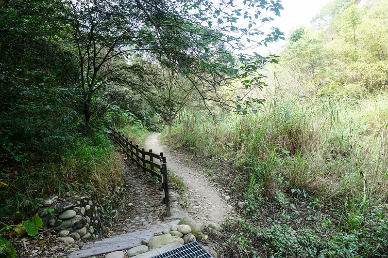 DSC08057