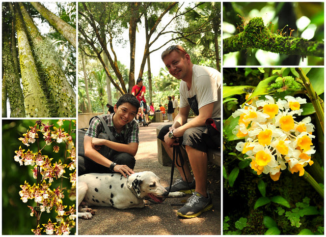 Singapore Botanic Garden is an awesome  place not to be missed!