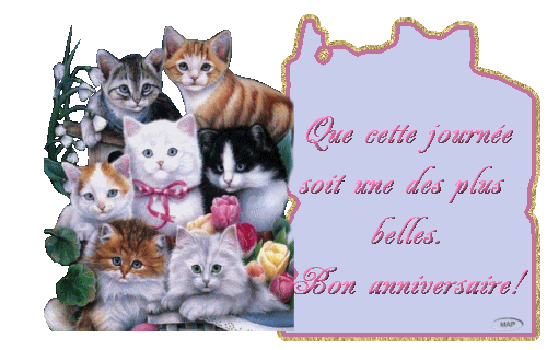 Bon Anniversaire Guillaume Kz Forum Lgc