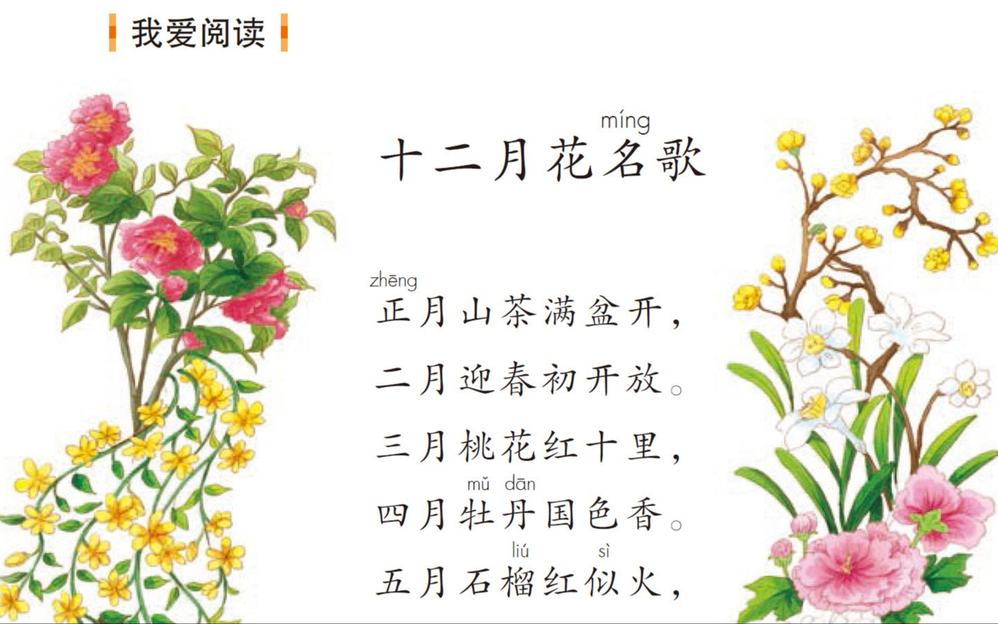 课文朗读 十二月花名歌 部编人教版小学二年级语文上册yw02a 025 Kwld 哔哩哔哩 Bilibili