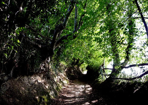 Santa Cristina de Lena y alrededores