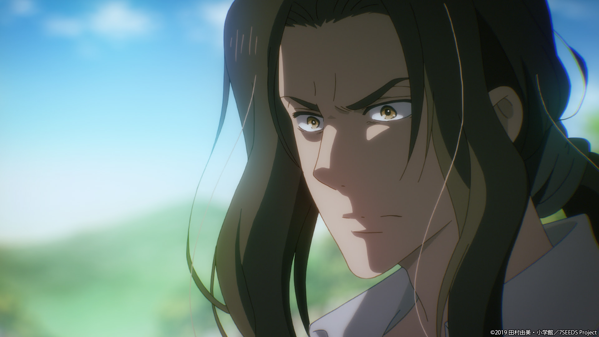 アニメ 7seeds 公式サイト