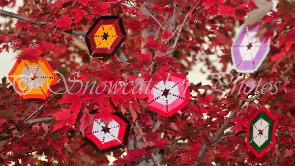 Candy Corn Snowflakes decorating my October Maple Tree