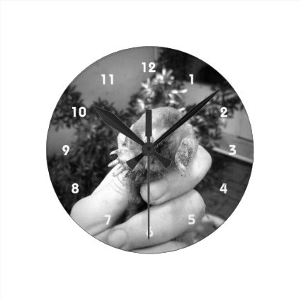 Live mole in hand smiling animal black white wallclocks