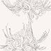 Vẽ Hình Xăm - Ghim của Lê Văn Minh trên Tattoos | Hình xăm, Cá chép ... - Bộ hình xăm vẽ mới 2016, hình đã tuyển chọn rất kỹ, toàn bộ hình mới và hot nhất: