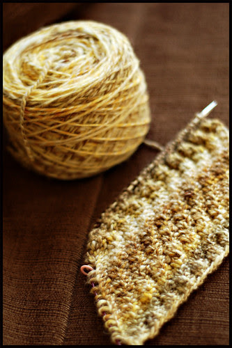 Compelled to Knit