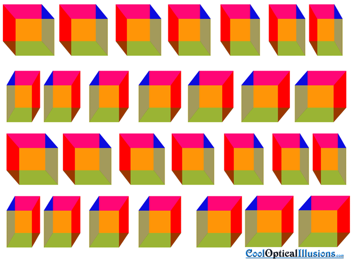 Pick a size, any size for your new wallpaper: 1152x864 