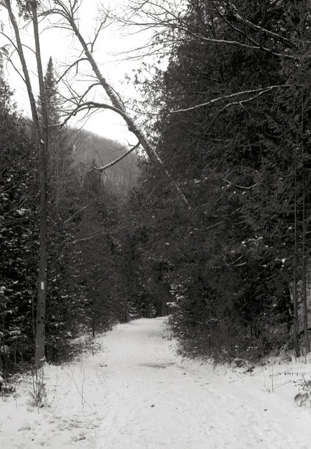 Scan-130208-0004