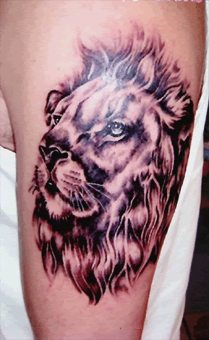 Lion Tattoo
