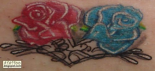Rosa vermelha e azul