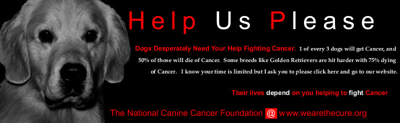National Canine Cancer Foundation