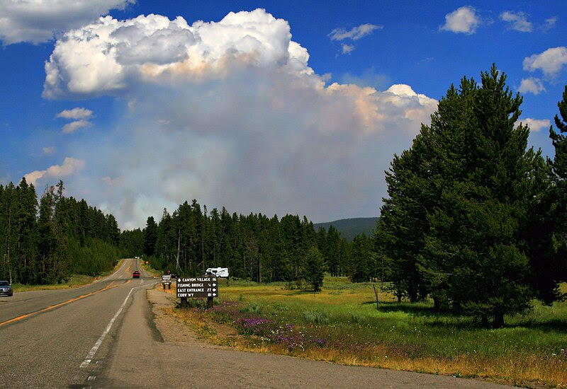 http://upload.wikimedia.org/wikipedia/commons/thumb/a/a1/Wildfire_in_Yellowstone_NP_produces_Pyrocumulus_cloud.jpg/800px-Wildfire_in_Yellowstone_NP_produces_Pyrocumulus_cloud.jpg