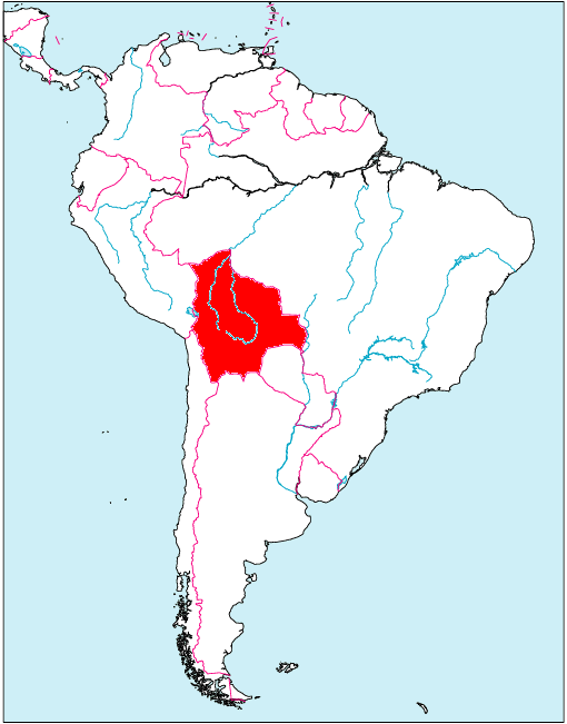 ボリビア代表 最新fifaランキング サッカーフット