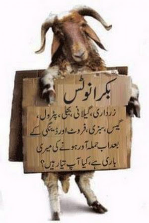Eid Ul Fitr Urdu Quotes. QuotesGram
