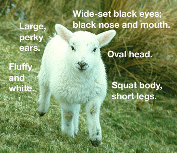 Annotated